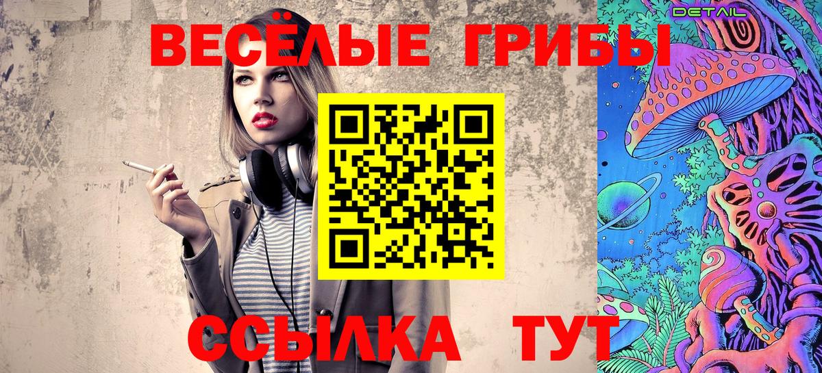 Галлюциногенные грибы мухоморы  Галлюциногенные грибы Cubensis  Вход с VPN  Татарск 