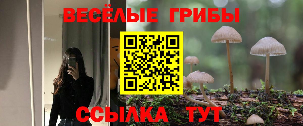 Псилоцибиновые грибы GOLDEN TEACHER Татарск